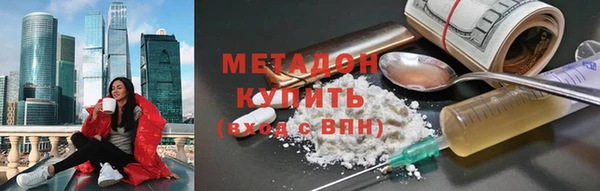 индика Каменка