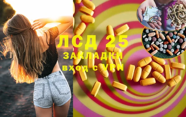 индика Каменка