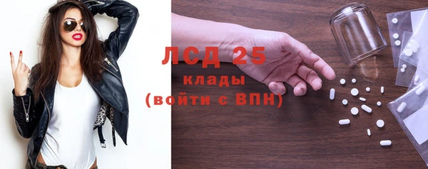 сатива Карпинск