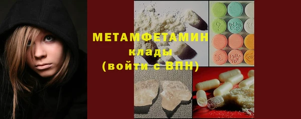 индика Каменка