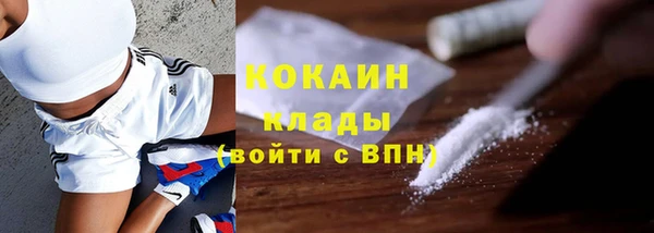 сатива Карпинск