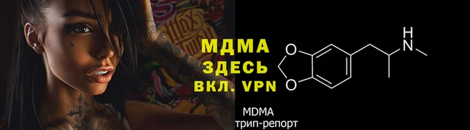 сатива Карпинск