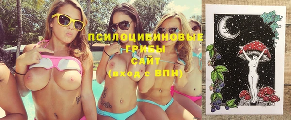 гашиш Касимов