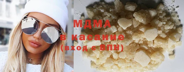 индика Каменка