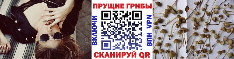 Галлюциногенные грибы ЛСД  MEGA сайт  Куйбышев 