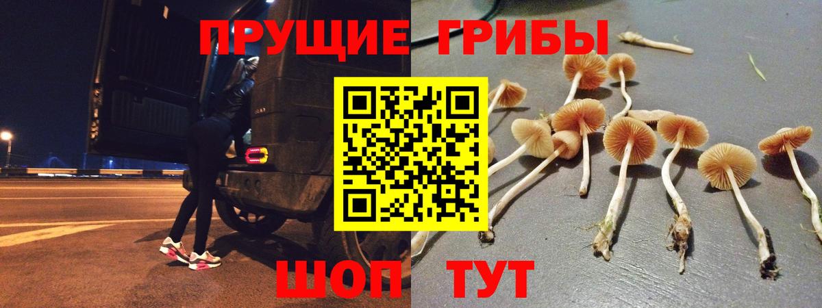 купить наркоту  Псилоцибиновые грибы Magic Shrooms  Вход с VPN  Куйбышев 